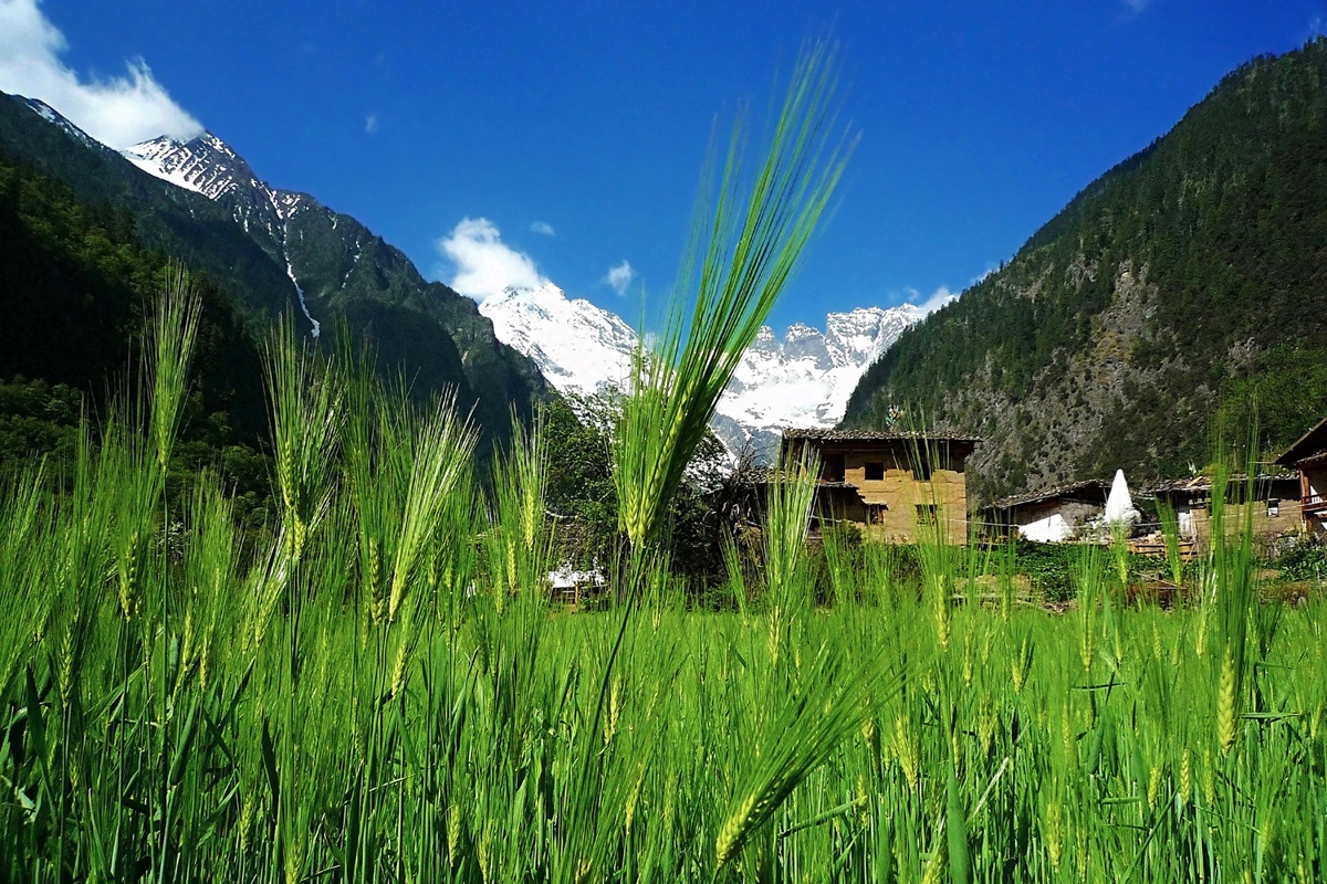 如何选择优质私募产品？私募公司评级+策略适应性