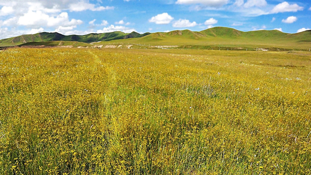 基金申购费率是什么?基金费率都是一样的吗 基金申购费率是什么?基金费率都是一样的吗