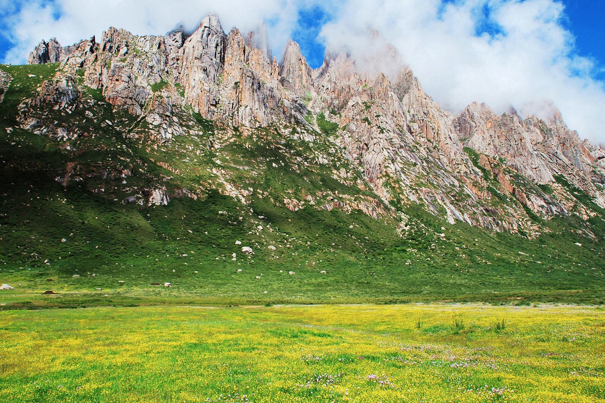 买FOF基金要注意什么 买FOF基金要注意什么