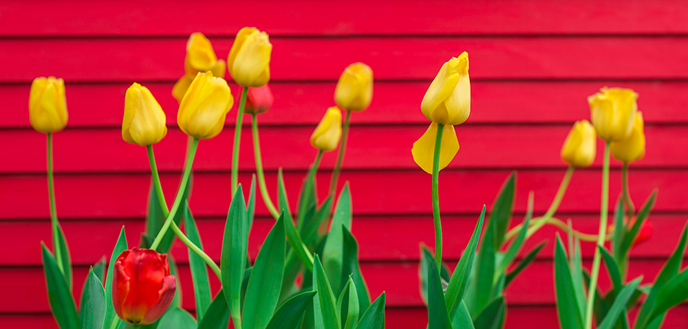 明星基金经理管理的私募基金一定很好吗? 明星基金经理管理的私募基金一定很好吗?