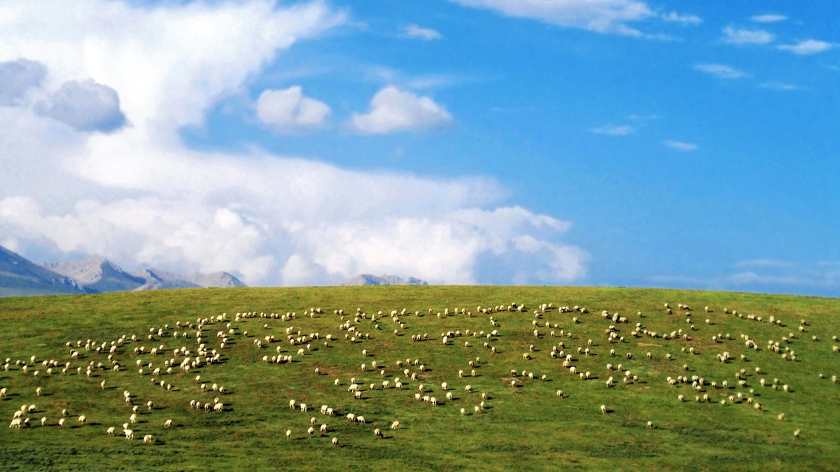 海外知名私募基金系列介绍之二---Winton Capital （元盛资本）