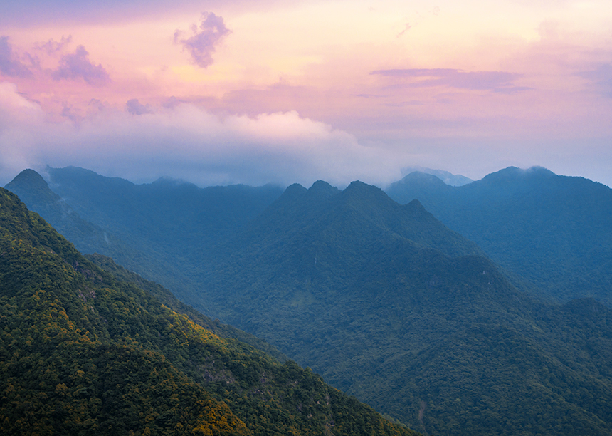 海外知名私募基金介绍之九----世坤(Millennium Management) 海外知名私募基金介绍之九----世坤(Millennium Management)