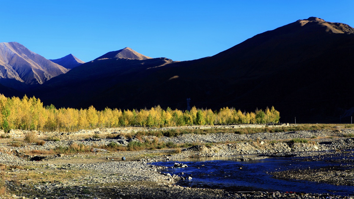 美国股市暴跌的原因是什么？