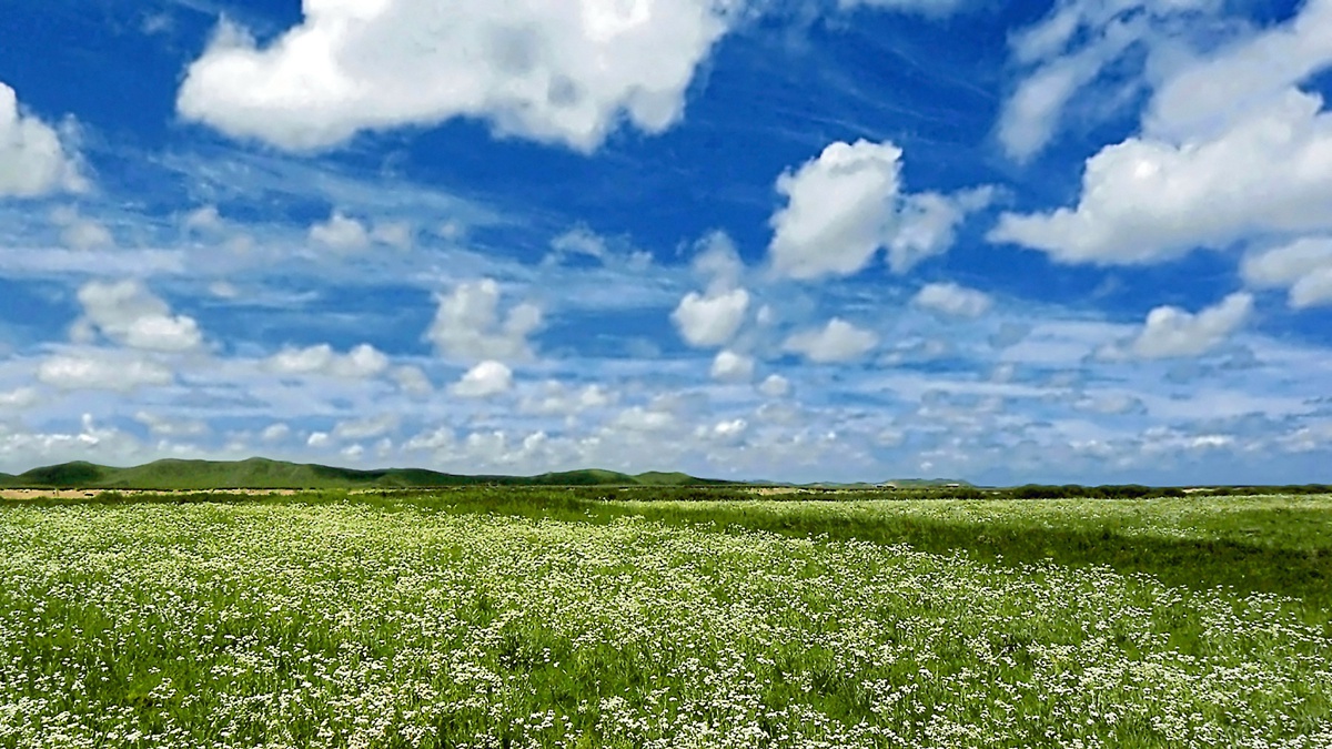 什么是量化交易?量化交易的基本流程有哪些? 什么是量化交易?量化交易的基本流程有哪些?