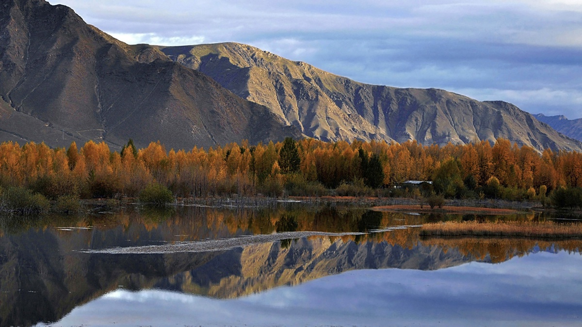 什么是注册制? 什么是注册制?