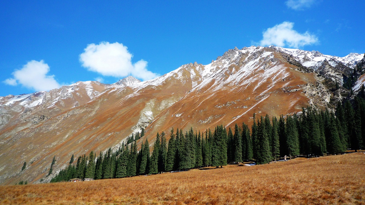 创业板注册制的要点有哪些? 创业板注册制的要点有哪些?